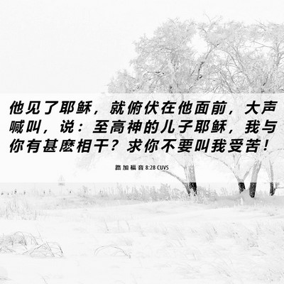 Picture 06 - 路 加 福 音 8:28 CUVS - 他 见 了 耶 稣 ， 就 俯 伏 在 他 面 - Bible Verse Picture
