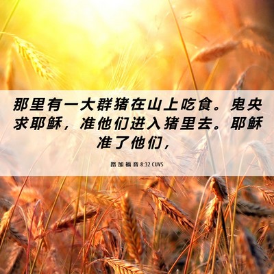 Picture 06 - 路 加 福 音 8:32 CUVS - 那 里 有 一 大 群 猪 在 山 上 吃 食 - Bible Verse Picture