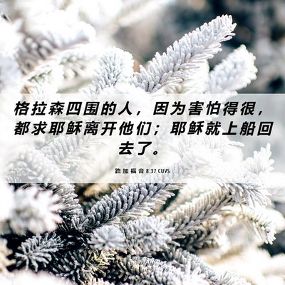 Picture 06 - 路 加 福 音 8:37 CUVS - 格 拉 森 四 围 的 人 ， 因 为 害 怕 - Bible Verse Picture