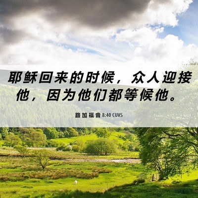 Picture 06 - 路 加 福 音 8:40 CUVS - 耶 稣 回 来 的 时 候 ， 众 人 迎 接 - Bible Verse Picture