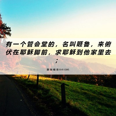 Picture 06 - 路 加 福 音 8:41 CUVS - 有 一 个 管 会 堂 的 ， 名 叫 睚 鲁 - Bible Verse Picture