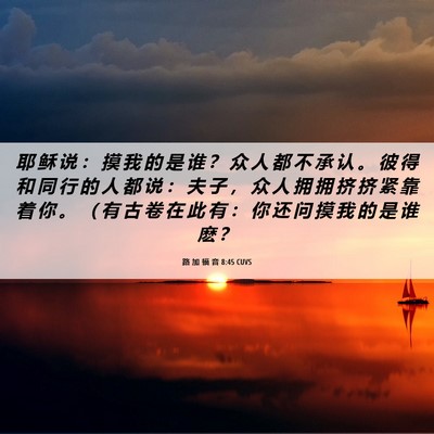 Picture 06 - 路 加 福 音 8:45 CUVS - 耶 稣 说 ： 摸 我 的 是 谁 ？ 众 人 - Bible Verse Picture