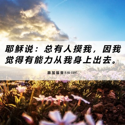 Picture 06 - 路 加 福 音 8:46 CUVS - 耶 稣 说 ： 总 有 人 摸 我 ， 因 我 - Bible Verse Picture