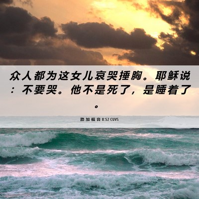 Picture 06 - 路 加 福 音 8:52 CUVS - 众 人 都 为 这 女 儿 哀 哭 捶 胸 。 - Bible Verse Picture