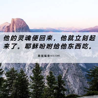 Picture 06 - 路 加 福 音 8:55 CUVS - 他 的 灵 魂 便 回 来 ， 他 就 立 刻 - Bible Verse Picture