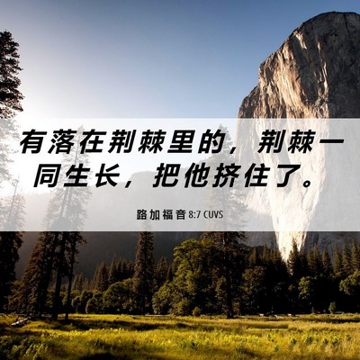 Picture 06 - 路 加 福 音 8:7 CUVS - 有 落 在 荆 棘 里 的 ， 荆 棘 一 同 - Bible Verse Picture