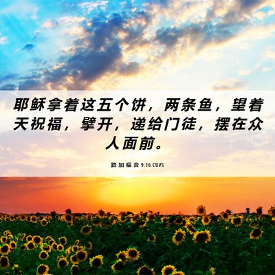 Picture 06 - 路 加 福 音 9:16 CUVS - 耶 稣 拿 着 这 五 个 饼 ， 两 条 鱼 - Bible Verse Picture