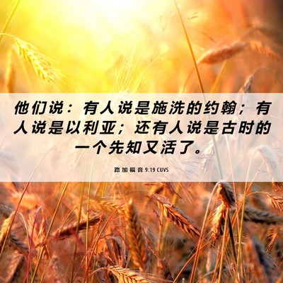 Picture 06 - 路 加 福 音 9:19 CUVS - 他 们 说 ： 有 人 说 是 施 洗 的 约 - Bible Verse Picture
