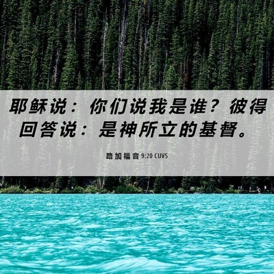 Picture 06 - 路 加 福 音 9:20 CUVS - 耶 稣 说 ： 你 们 说 我 是 谁 ？ 彼 - Bible Verse Picture