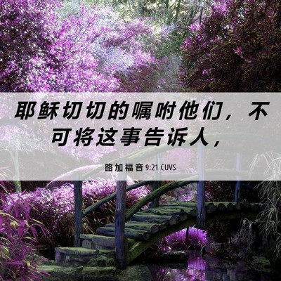 Picture 06 - 路 加 福 音 9:21 CUVS - 耶 稣 切 切 的 嘱 咐 他 们 ， 不 可 - Bible Verse Picture