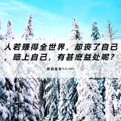 Picture 06 - 路 加 福 音 9:25 CUVS - 人 若 赚 得 全 世 界 ， 却 丧 了 自 - Bible Verse Picture