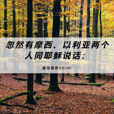Picture 06 - 路 加 福 音 9:30 CUVS - 忽 然 有 摩 西 、 以 利 亚 两 个 人 - Bible Verse Picture