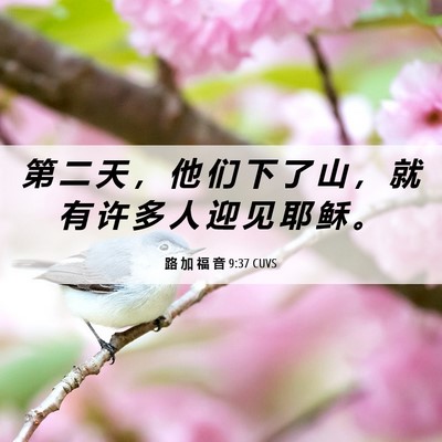 Picture 06 - 路 加 福 音 9:37 CUVS - 第 二 天 ， 他 们 下 了 山 ， 就 有 - Bible Verse Picture