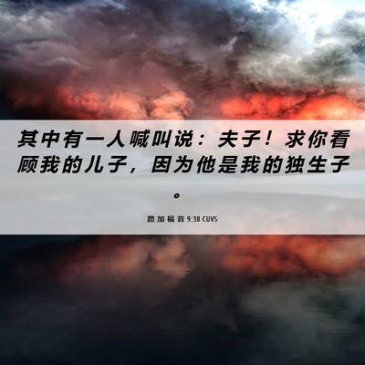 Picture 06 - 路 加 福 音 9:38 CUVS - 其 中 有 一 人 喊 叫 说 ： 夫 子 ！ - Bible Verse Picture