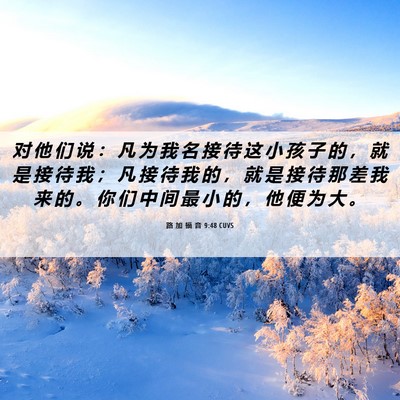 Picture 06 - 路 加 福 音 9:48 CUVS - 对 他 们 说 ： 凡 为 我 名 接 待 这 - Bible Verse Picture