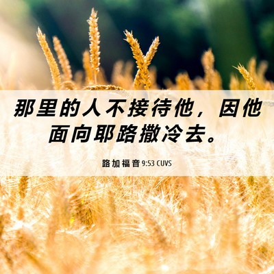 Picture 06 - 路 加 福 音 9:53 CUVS - 那 里 的 人 不 接 待 他 ， 因 他 面 - Bible Verse Picture