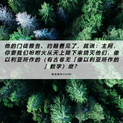 Picture 06 - 路 加 福 音 9:54 CUVS - 他 的 门 徒 雅 各 、 约 翰 看 见 了 - Bible Verse Picture