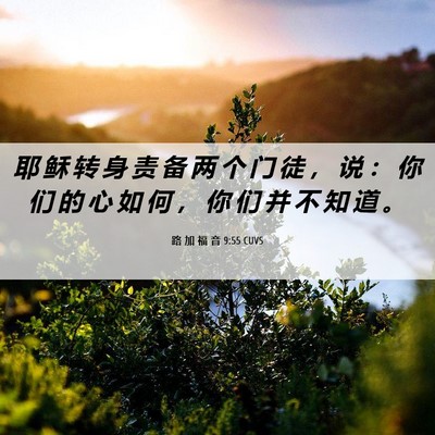 Picture 06 - 路 加 福 音 9:55 CUVS - 耶 稣 转 身 责 备 两 个 门 徒 ， 说 - Bible Verse Picture
