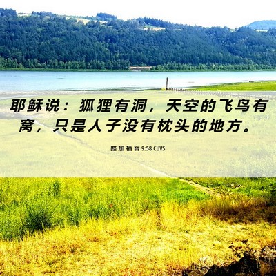 Picture 06 - 路 加 福 音 9:58 CUVS - 耶 稣 说 ： 狐 狸 有 洞 ， 天 空 的 - Bible Verse Picture