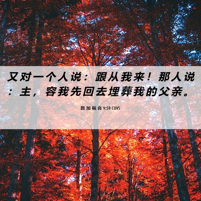 Picture 06 - 路 加 福 音 9:59 CUVS - 又 对 一 个 人 说 ： 跟 从 我 来 ！ - Bible Verse Picture