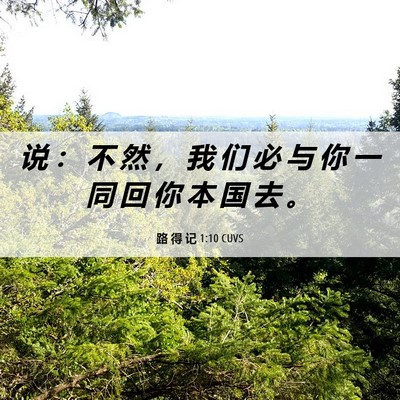 Picture 06 - 路 得 记 1:10 CUVS - 说 ： 不 然 ， 我 们 必 与 你 一 同 - Bible Verse Picture