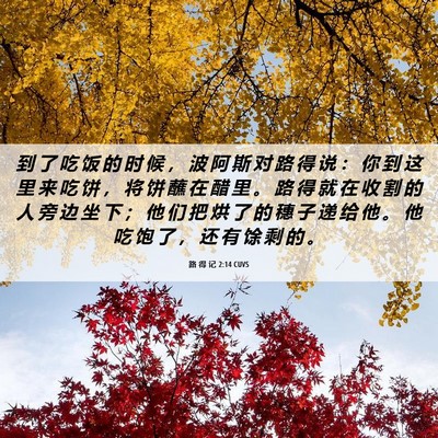 Picture 06 - 路 得 记 2:14 CUVS - 到 了 吃 饭 的 时 候 ， 波 阿 斯 对 - Bible Verse Picture