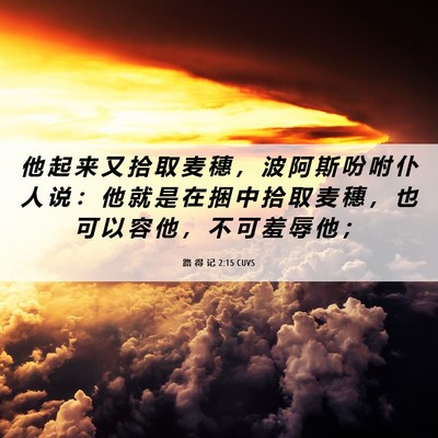 Picture 06 - 路 得 记 2:15 CUVS - 他 起 来 又 拾 取 麦 穗 ， 波 阿 斯 - Bible Verse Picture