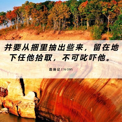 Picture 06 - 路 得 记 2:16 CUVS - 并 要 从 捆 里 抽 出 些 来 ， 留 在 - Bible Verse Picture