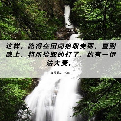 Picture 06 - 路 得 记 2:17 CUVS - 这 样 ， 路 得 在 田 间 拾 取 麦 穗 - Bible Verse Picture