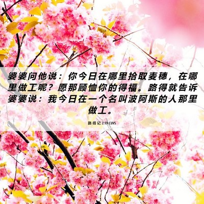Picture 06 - 路 得 记 2:19 CUVS - 婆 婆 问 他 说 ： 你 今 日 在 哪 里 - Bible Verse Picture