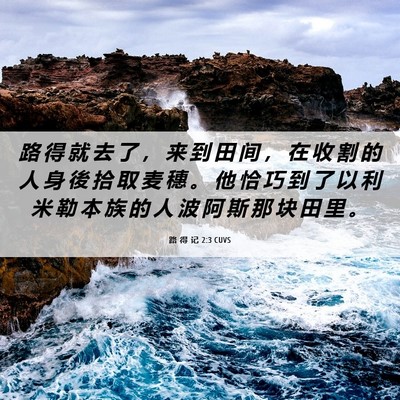Picture 06 - 路 得 记 2:3 CUVS - 路 得 就 去 了 ， 来 到 田 间 ， 在 - Bible Verse Picture