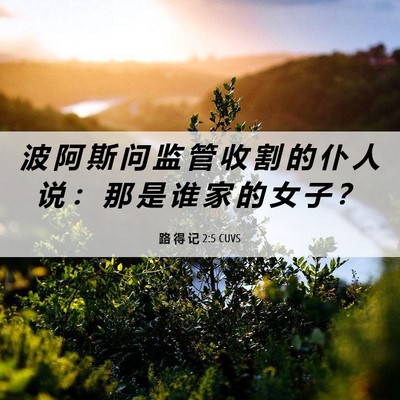 Picture 06 - 路 得 记 2:5 CUVS - 波 阿 斯 问 监 管 收 割 的 仆 人 说 - Bible Verse Picture