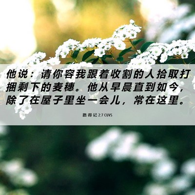 Picture 06 - 路 得 记 2:7 CUVS - 他 说 ： 请 你 容 我 跟 着 收 割 的 - Bible Verse Picture