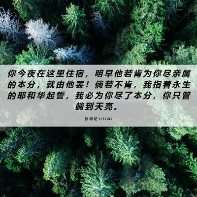 Picture 06 - 路 得 记 3:13 CUVS - 你 今 夜 在 这 里 住 宿 ， 明 早 他 - Bible Verse Picture