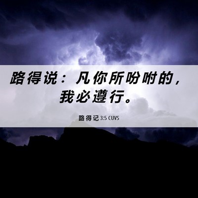 Picture 06 - 路 得 记 3:5 CUVS - 路 得 说 ： 凡 你 所 吩 咐 的 ， 我 - Bible Verse Picture
