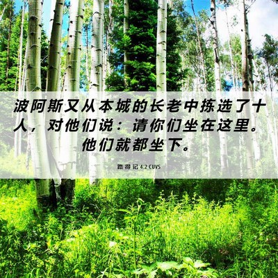 Picture 06 - 路 得 记 4:2 CUVS - 波 阿 斯 又 从 本 城 的 长 老 中 拣 - Bible Verse Picture