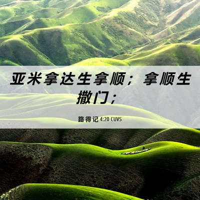 Picture 06 - 路 得 记 4:20 CUVS - 亚 米 拿 达 生 拿 顺 ； 拿 顺 生 撒 - Bible Verse Picture