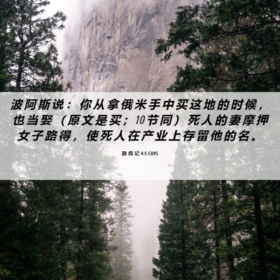 Picture 06 - 路 得 记 4:5 CUVS - 波 阿 斯 说 ： 你 从 拿 俄 米 手 中 - Bible Verse Picture