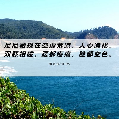 Picture 06 - 那 鸿 书 2:10 CUVS - 尼 尼 微 现 在 空 虚 荒 凉 ， 人 心 - Bible Verse Picture