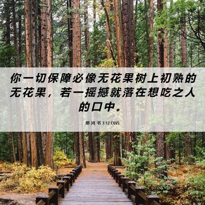 Picture 06 - 那 鸿 书 3:12 CUVS - 你 一 切 保 障 必 像 无 花 果 树 上 - Bible Verse Picture