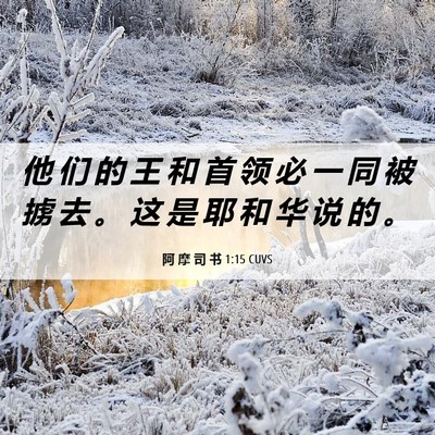 Picture 06 - 阿 摩 司 书 1:15 CUVS - 他 们 的 王 和 首 领 必 一 同 被 掳 - Bible Verse Picture