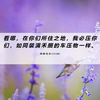Picture 06 - 阿 摩 司 书 2:13 CUVS - 看 哪 ， 在 你 们 所 住 之 地 ， 我 - Bible Verse Picture