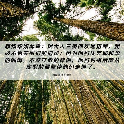 Picture 06 - 阿 摩 司 书 2:4 CUVS - 耶 和 华 如 此 说 ： 犹 大 人 三 番 - Bible Verse Picture