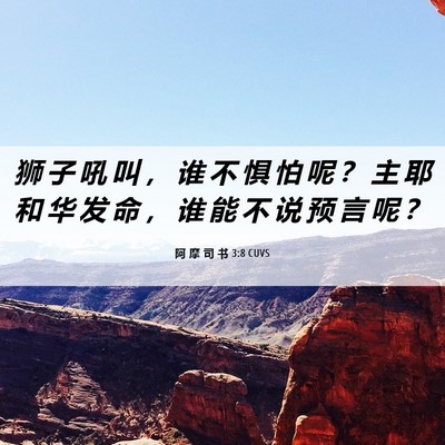 Picture 06 - 阿 摩 司 书 3:8 CUVS - 狮 子 吼 叫 ， 谁 不 惧 怕 呢 ？ 主 - Bible Verse Picture