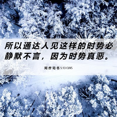 Picture 06 - 阿 摩 司 书 5:13 CUVS - 所 以 通 达 人 见 这 样 的 时 势 必 - Bible Verse Picture