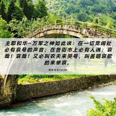 Picture 06 - 阿 摩 司 书 5:16 CUVS - 主 耶 和 华 ─ 万 军 之 神 如 此 说 - Bible Verse Picture