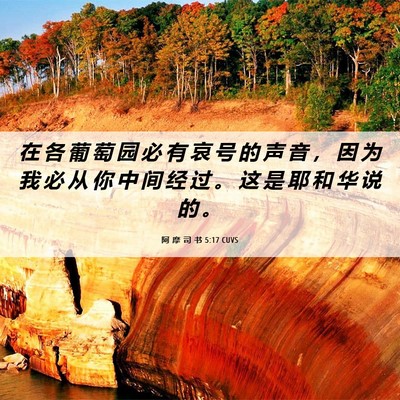Picture 06 - 阿 摩 司 书 5:17 CUVS - 在 各 葡 萄 园 必 有 哀 号 的 声 音 - Bible Verse Picture