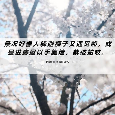 Picture 06 - 阿 摩 司 书 5:19 CUVS - 景 况 好 像 人 躲 避 狮 子 又 遇 见 - Bible Verse Picture