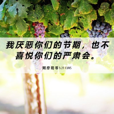 Picture 06 - 阿 摩 司 书 5:21 CUVS - 我 厌 恶 你 们 的 节 期 ， 也 不 喜 - Bible Verse Picture