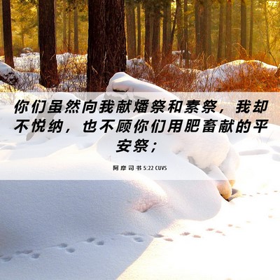Picture 06 - 阿 摩 司 书 5:22 CUVS - 你 们 虽 然 向 我 献 燔 祭 和 素 祭 - Bible Verse Picture